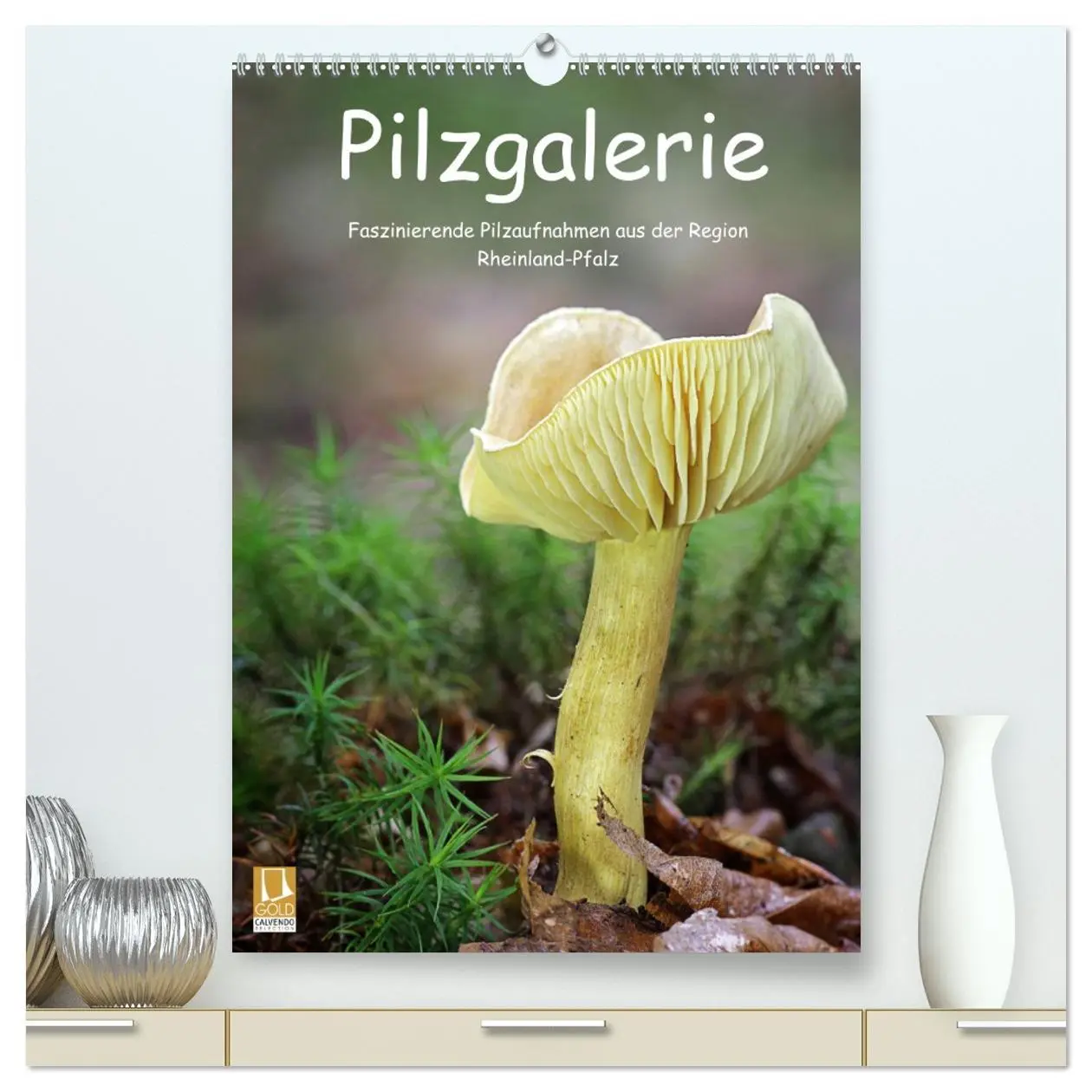 Cover: 9783516407006 | Pilzgalerie - Faszinierende Pilzaufnahmen aus der Region...