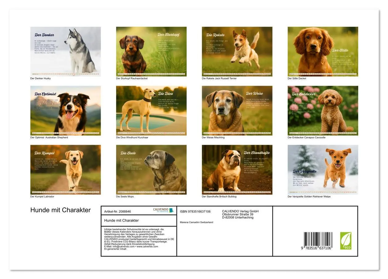 Bild: 9783516637106 | Hunde mit Charakter (hochwertiger Premium Wandkalender 2026 DIN A2...