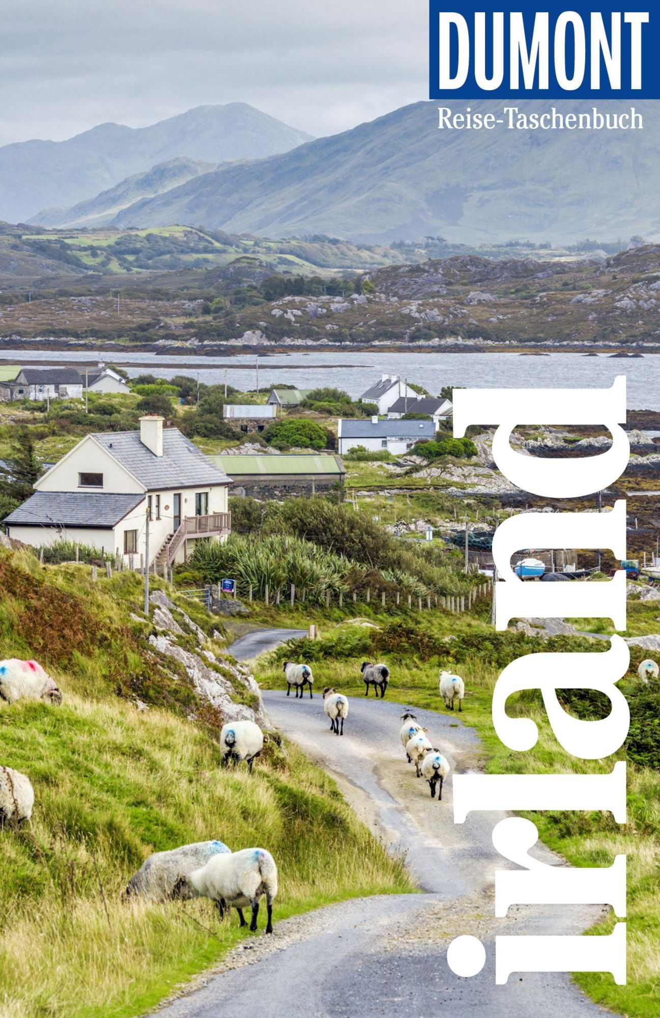 Cover: 9783616007106 | DUMONT Reise-Taschenbuch Reiseführer Irland | Susanne Tschirner | Buch