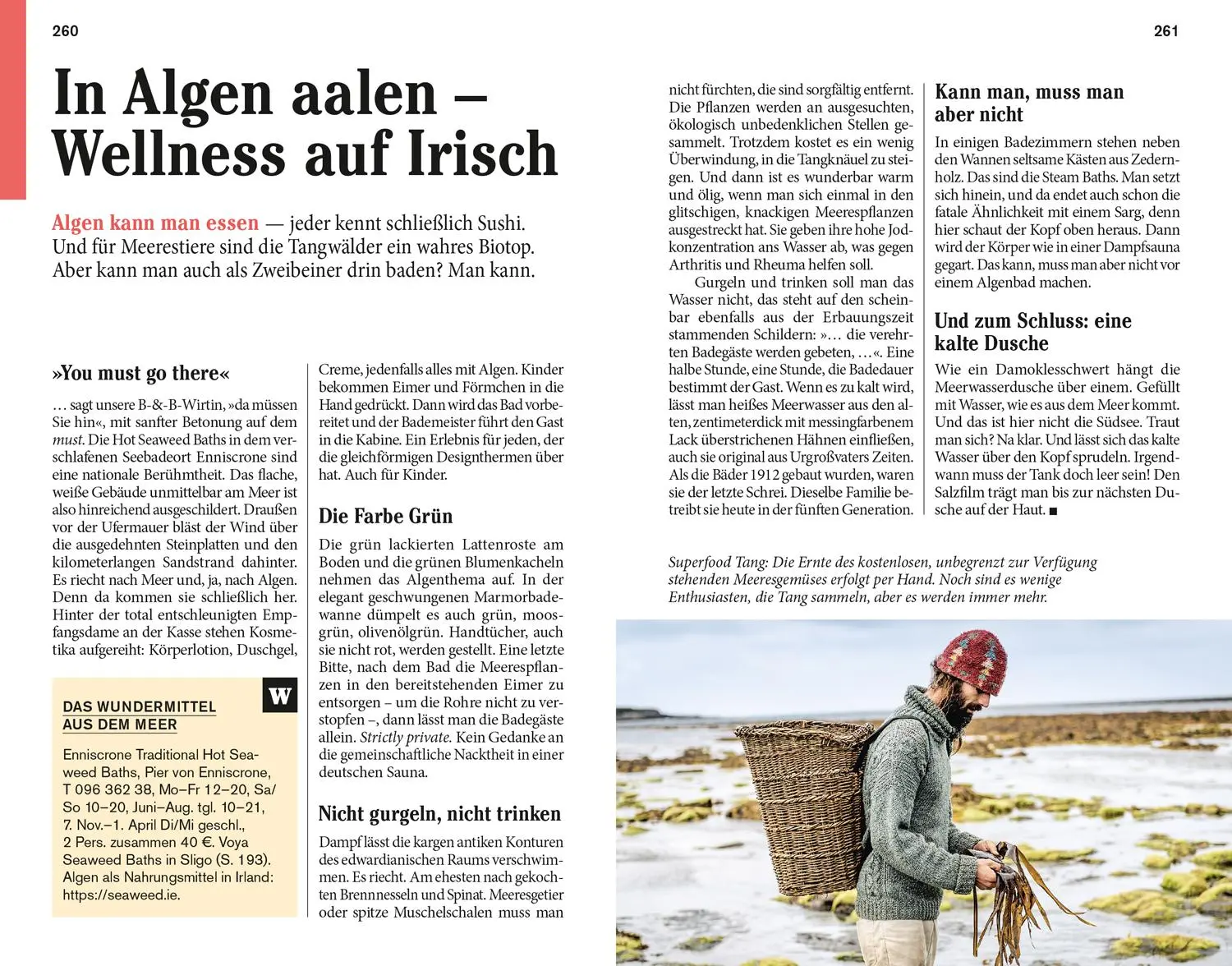 Bild: 9783616007106 | DUMONT Reise-Taschenbuch Reiseführer Irland | Susanne Tschirner | Buch