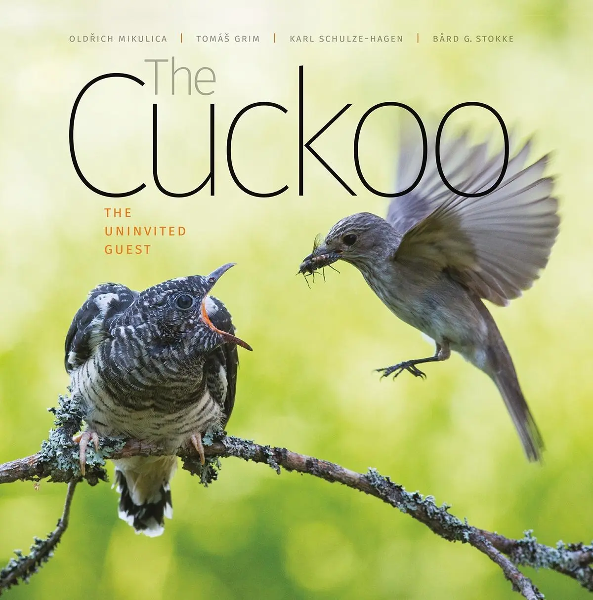 Cover: 9780995567306 | The Cuckoo | The Uninvited Guest | Bard G. Stokke (u. a.) | Buch