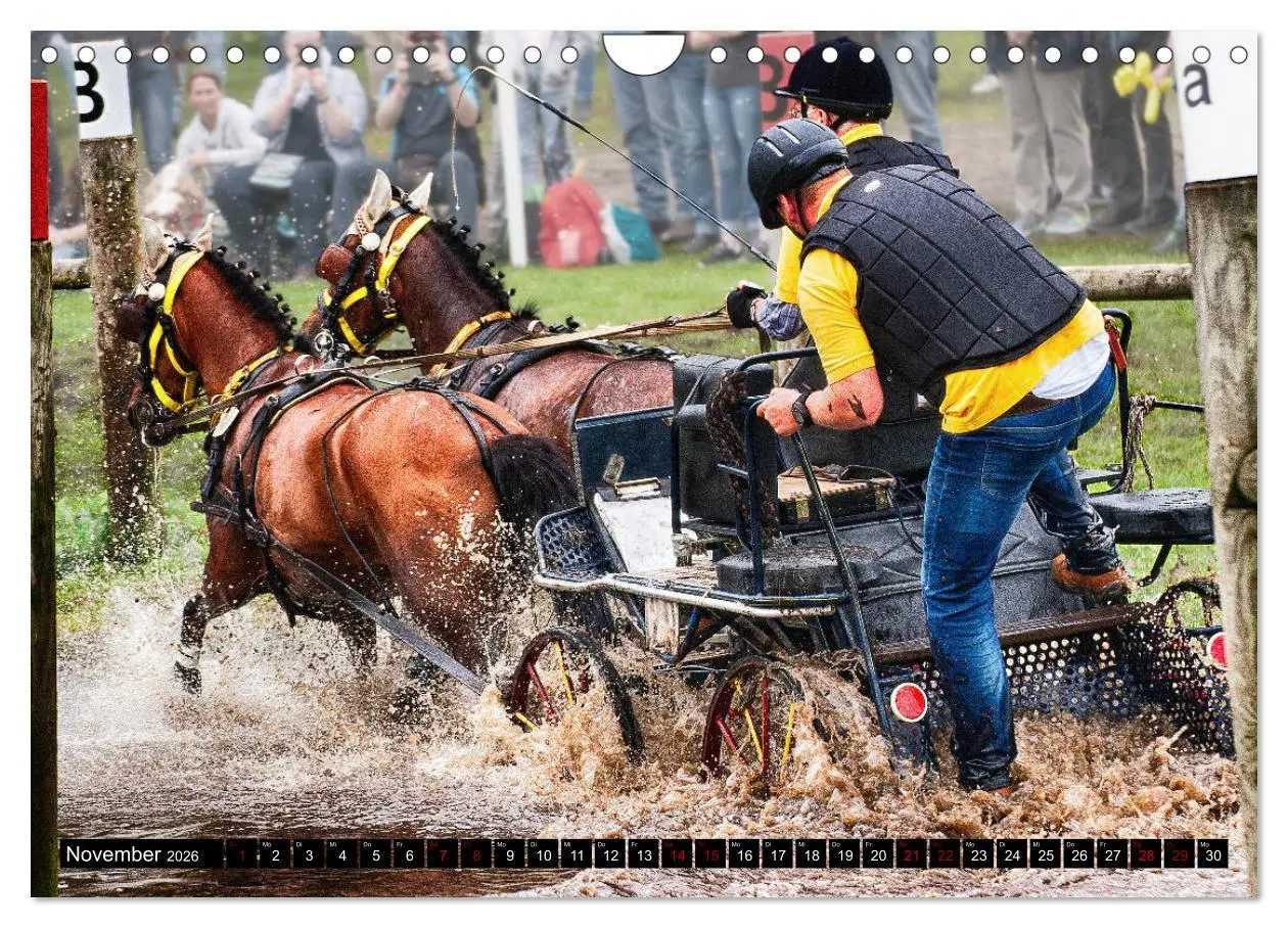 Bild: 9783457837306 | Fahrpferde in Aktion (Wandkalender 2026 DIN A4 quer), CALVENDO...