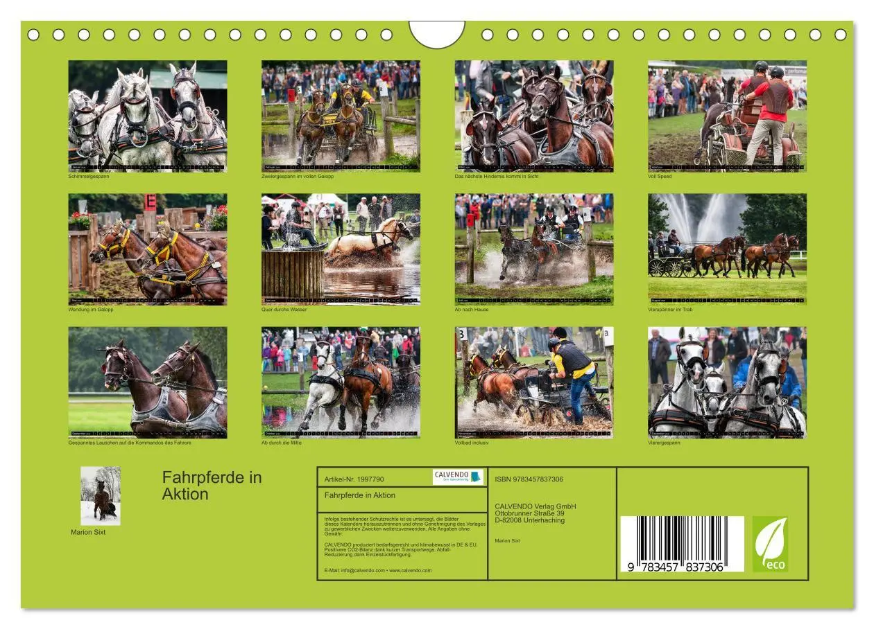 Bild: 9783457837306 | Fahrpferde in Aktion (Wandkalender 2026 DIN A4 quer), CALVENDO...