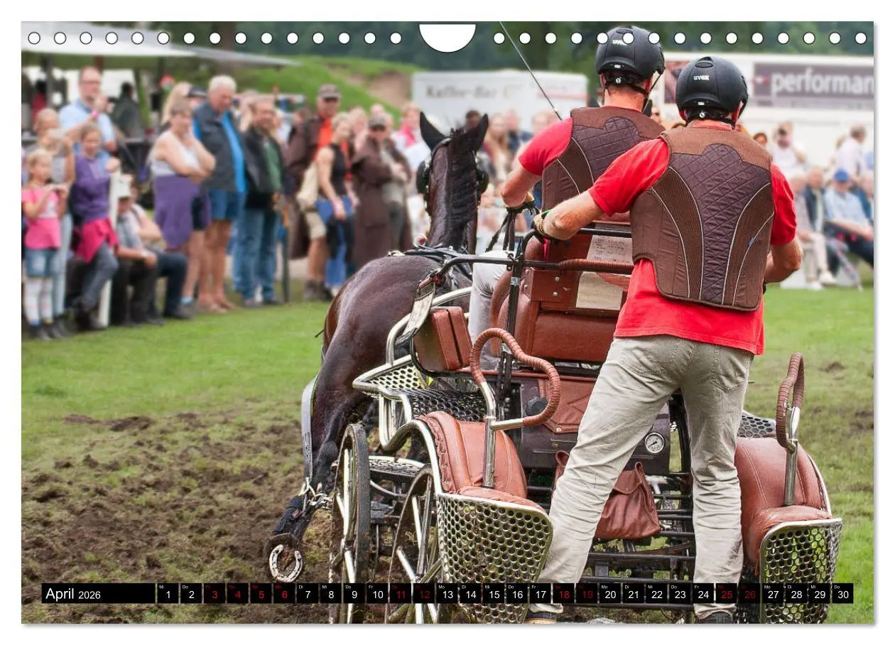 Bild: 9783457837306 | Fahrpferde in Aktion (Wandkalender 2026 DIN A4 quer), CALVENDO...