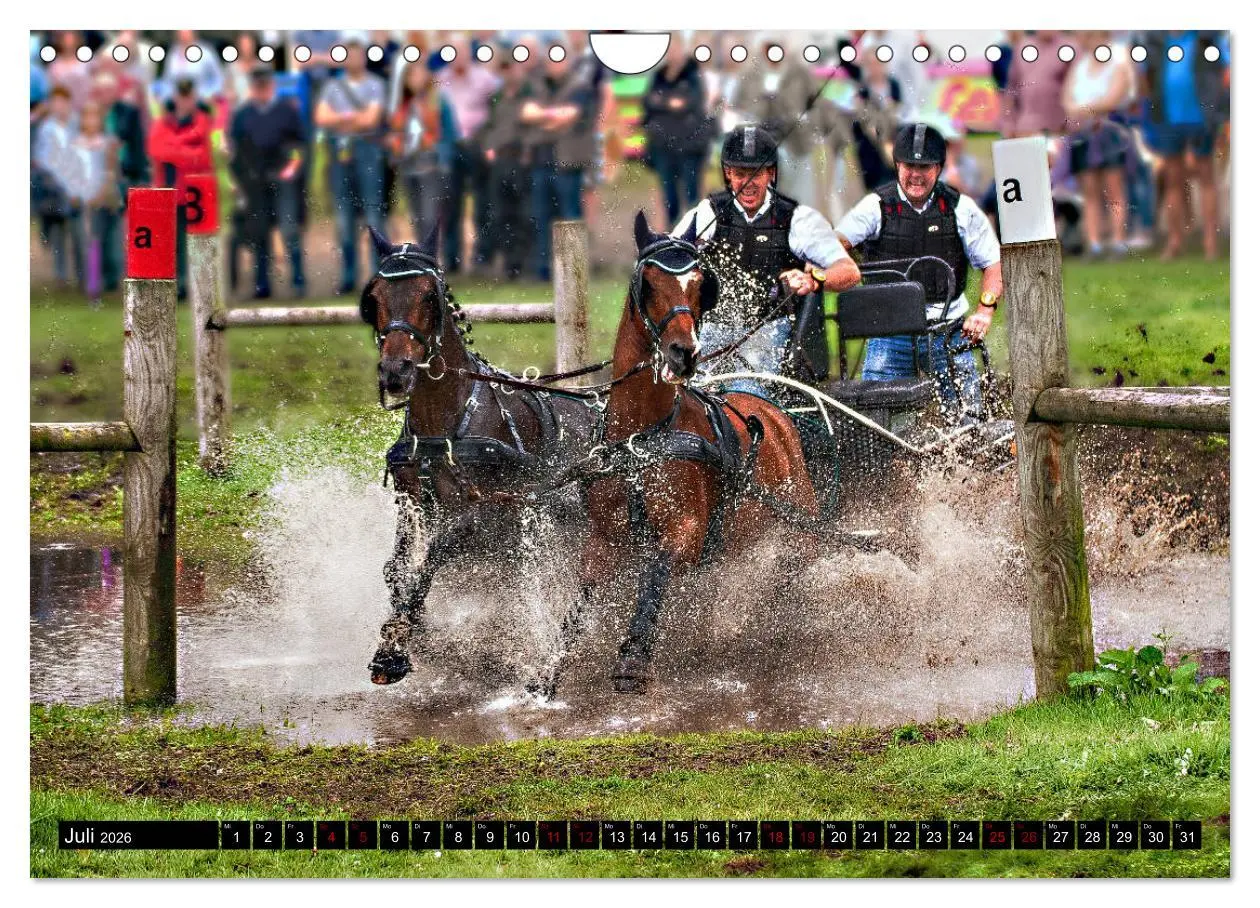Bild: 9783457837306 | Fahrpferde in Aktion (Wandkalender 2026 DIN A4 quer), CALVENDO...