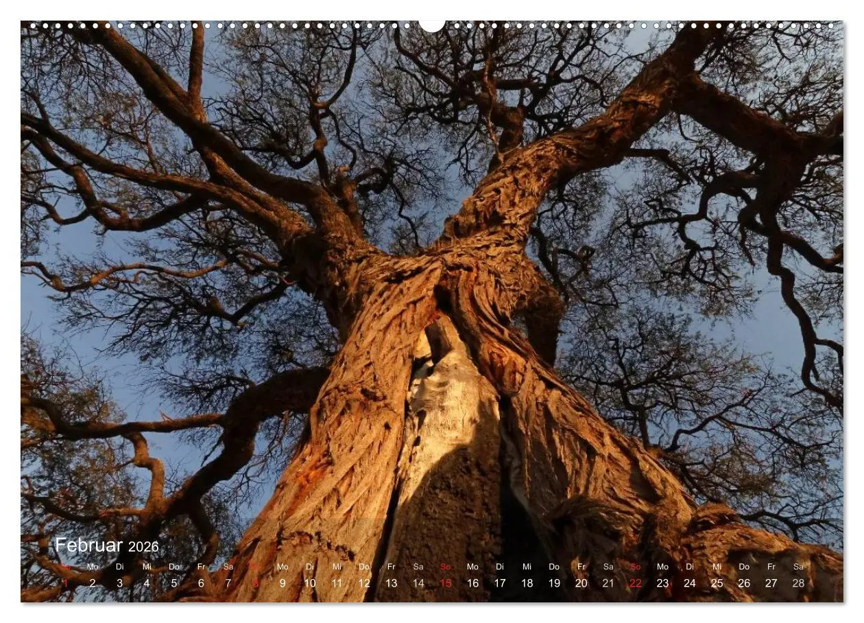 Bild: 9783516167306 | Zimbabwe (hochwertiger Premium Wandkalender 2026 DIN A2 quer),...