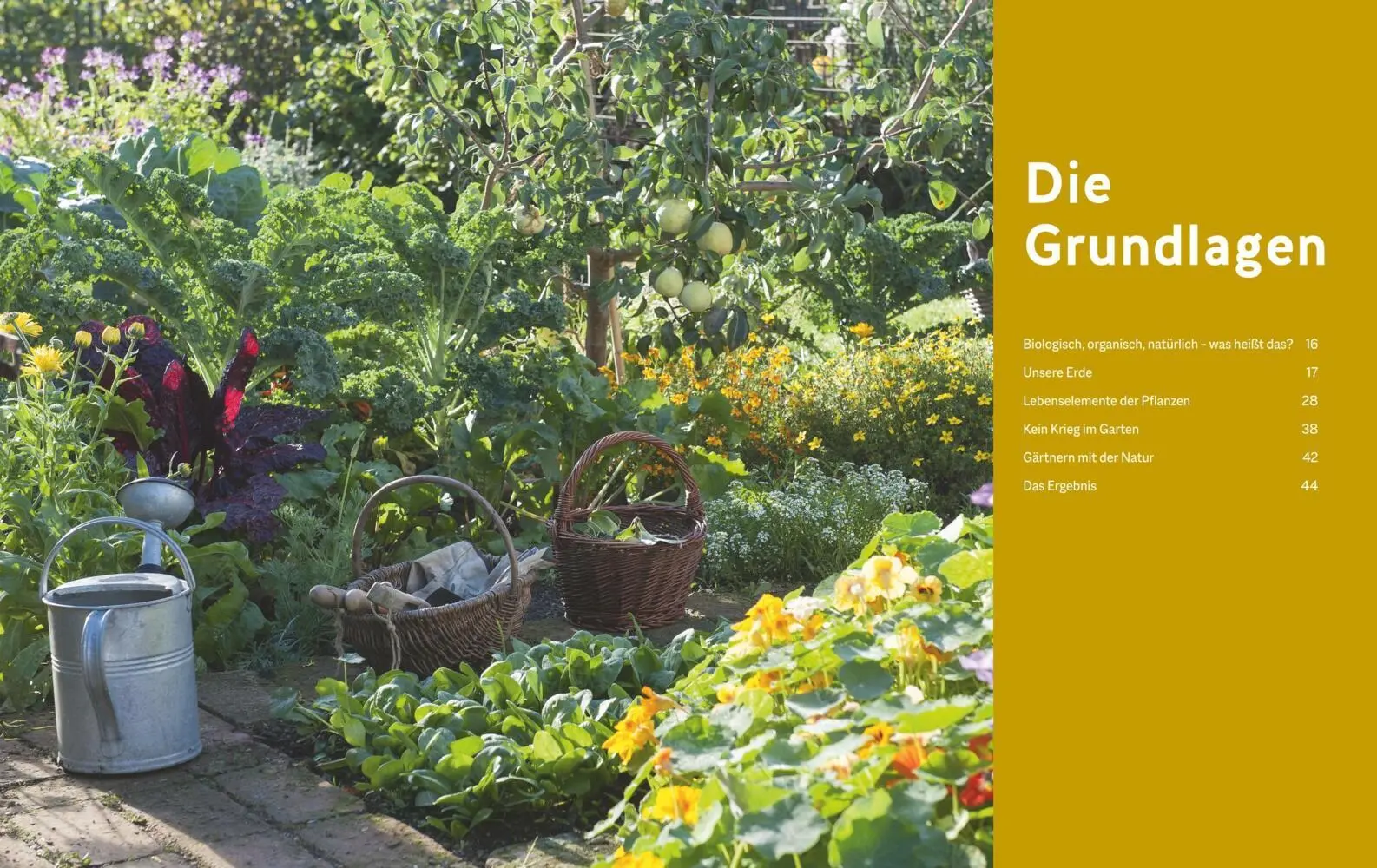 Bild: 9783833897306 | Der Biogarten | Das Original | Marie-Luise Kreuter | Buch | Garten