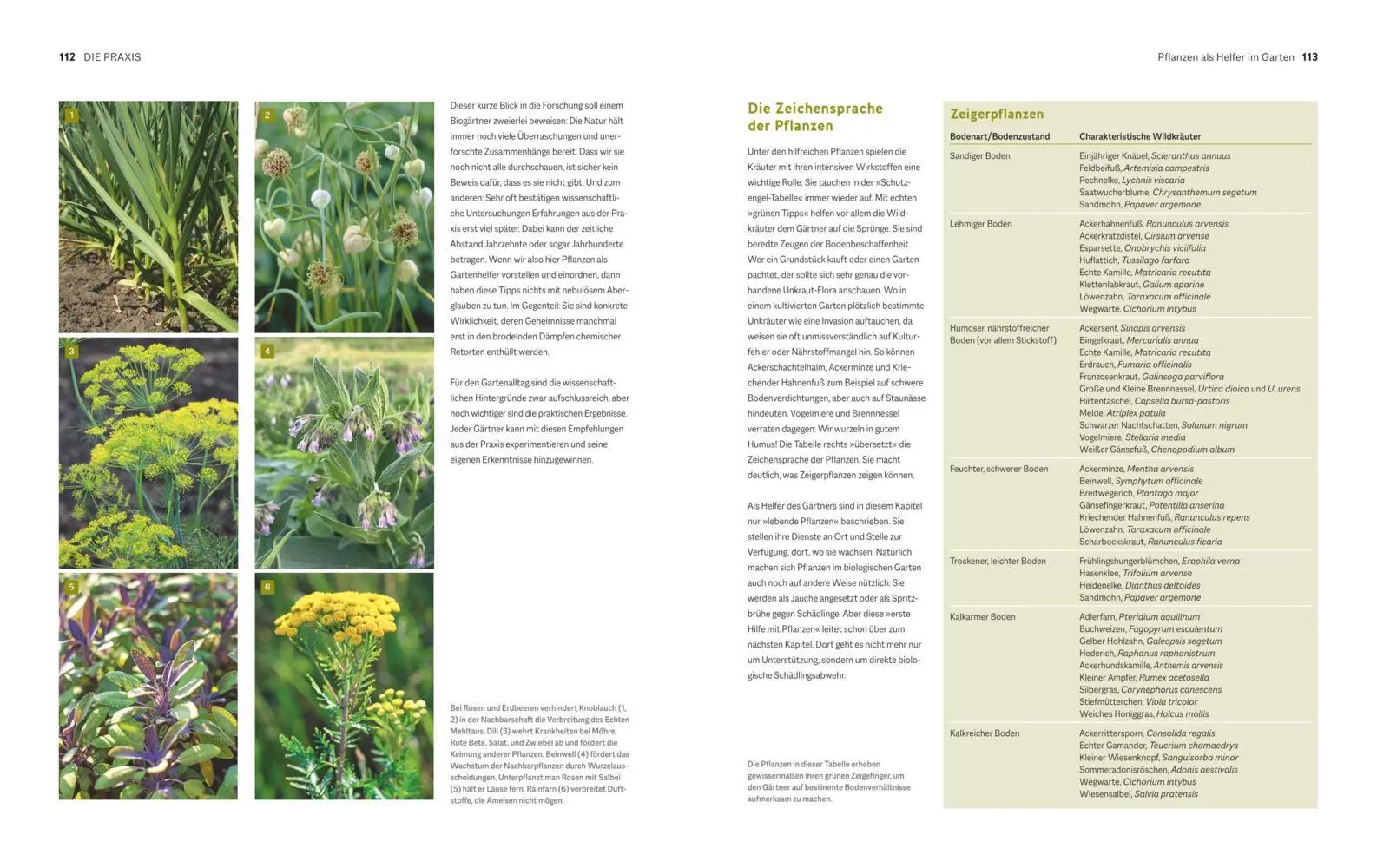 Bild: 9783833897306 | Der Biogarten | Das Original | Marie-Luise Kreuter | Buch | Garten