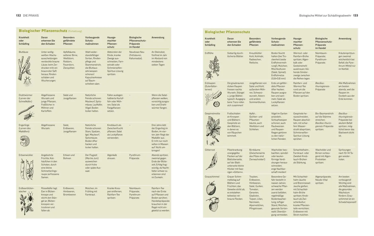 Bild: 9783833897306 | Der Biogarten | Das Original | Marie-Luise Kreuter | Buch | Garten