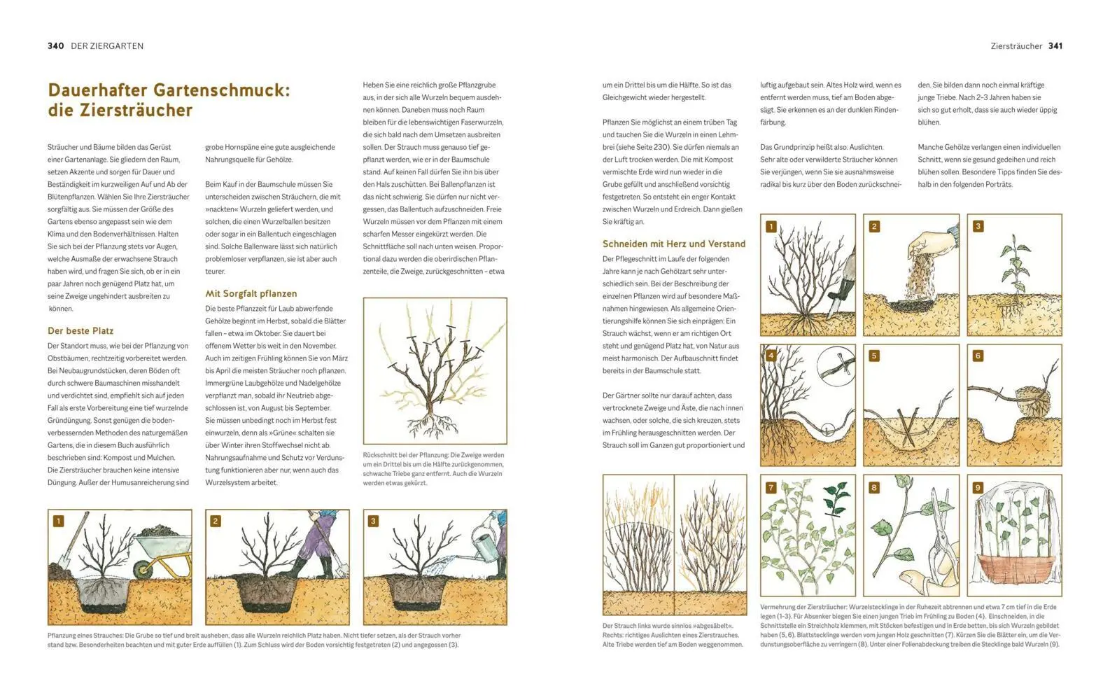 Bild: 9783833897306 | Der Biogarten | Das Original | Marie-Luise Kreuter | Buch | Garten