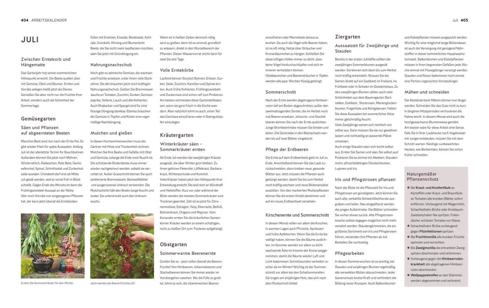 Bild: 9783833897306 | Der Biogarten | Das Original | Marie-Luise Kreuter | Buch | Garten