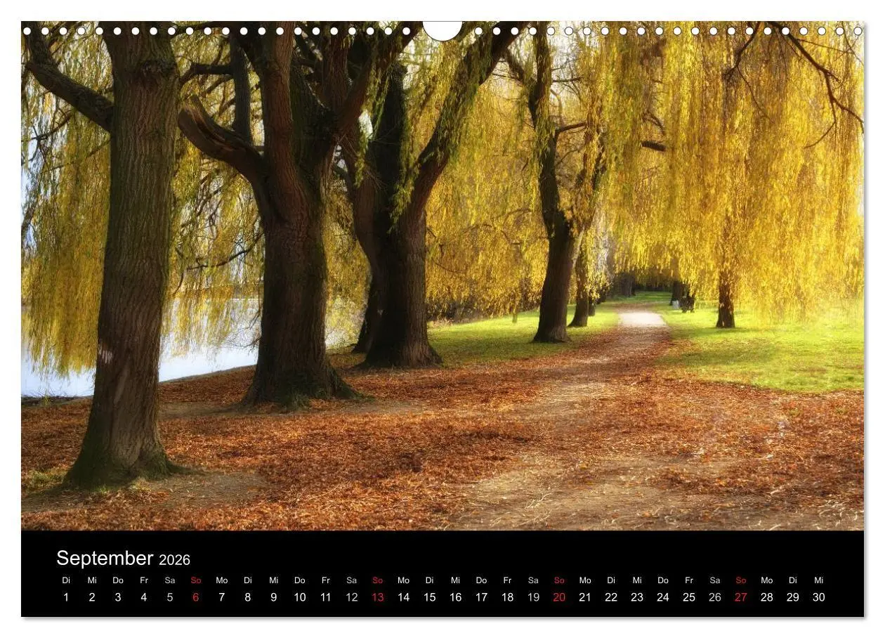 Bild: 9783516157406 | Ingelheim und Umgebung (Wandkalender 2026 DIN A3 quer), CALVENDO...
