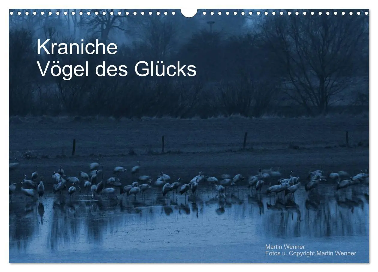 Cover: 9783516227406 | Kraniche (Wandkalender 2026 DIN A3 quer), CALVENDO Monatskalender