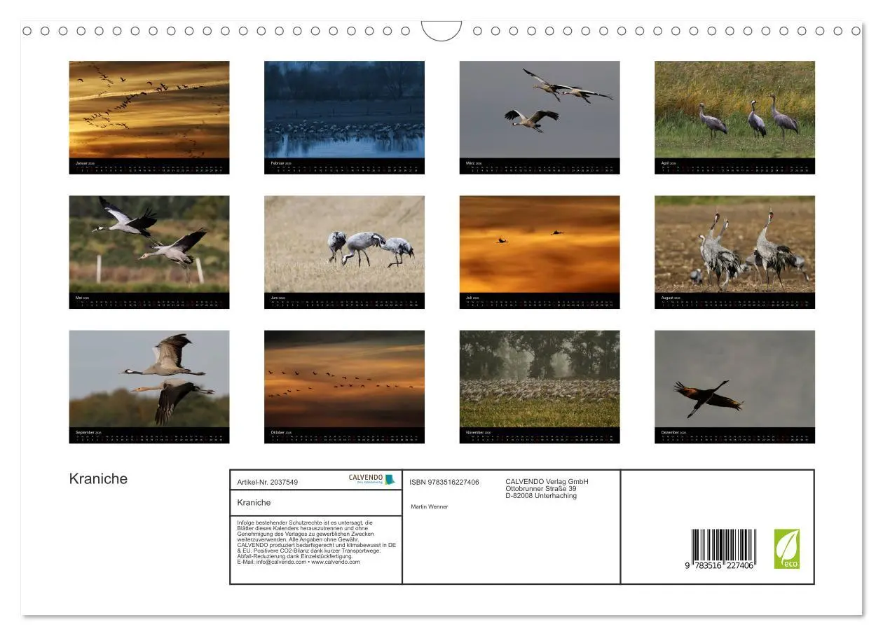 Bild: 9783516227406 | Kraniche (Wandkalender 2026 DIN A3 quer), CALVENDO Monatskalender