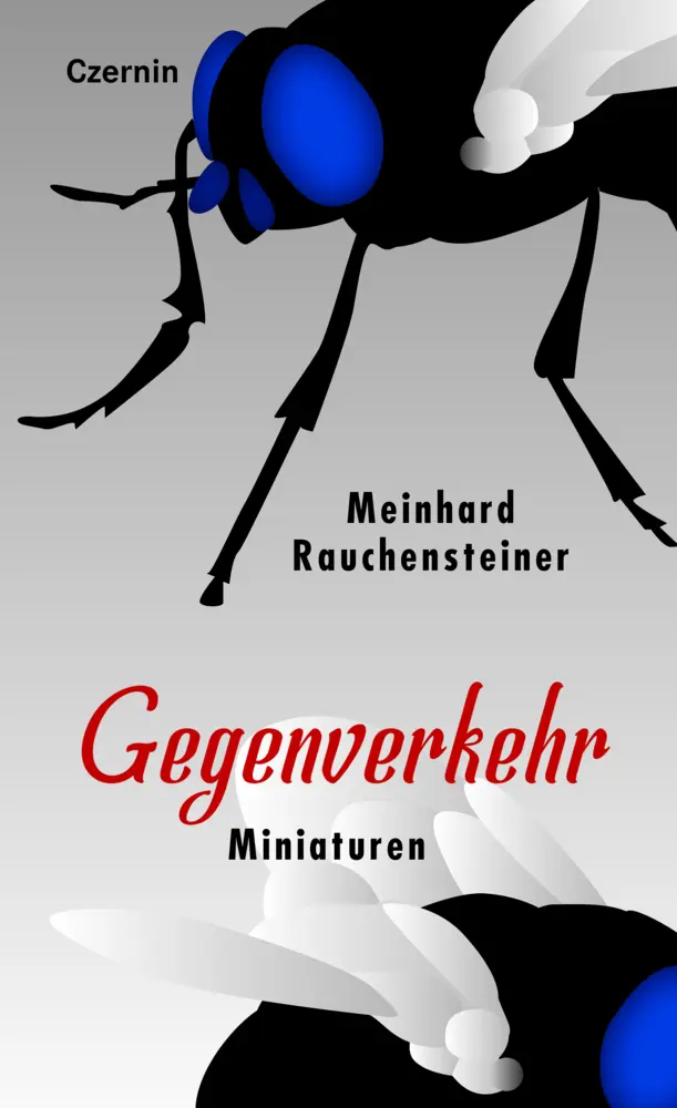 Cover: 9783707607406 | Gegenverkehr | Miniaturen | Meinhard Rauchensteiner | Taschenbuch