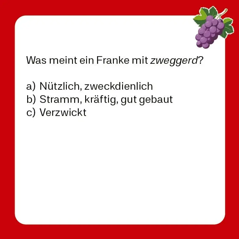 Bild: 9783747207406 | Allmächd - Fränkisches Dialekt-Quiz (Neuauflage) | Frank N. Wirth