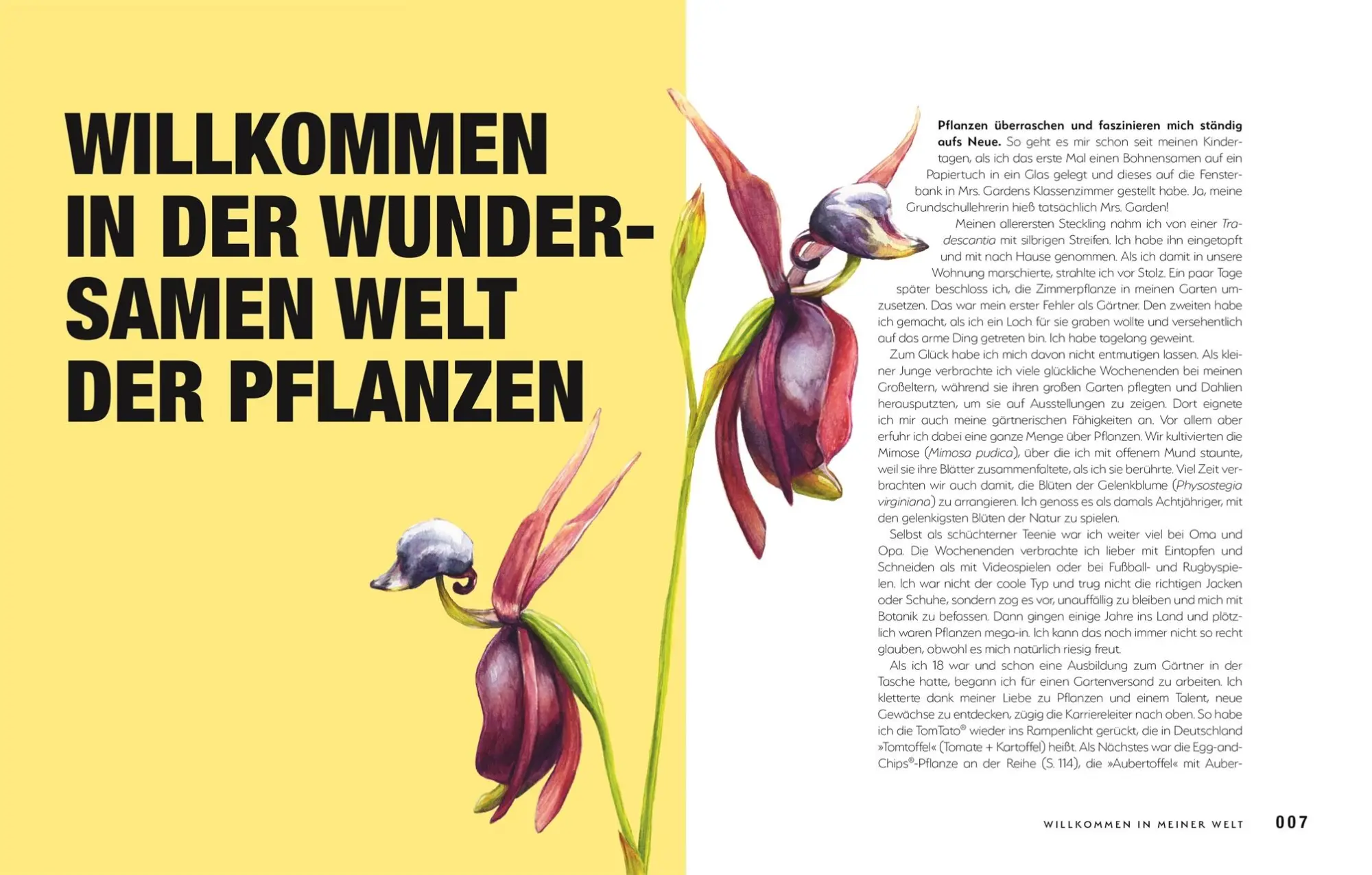 Bild: 9783831047406 | Kuriose Pflanzen | Michael Perry | Buch | 192 S. | Deutsch | 2023