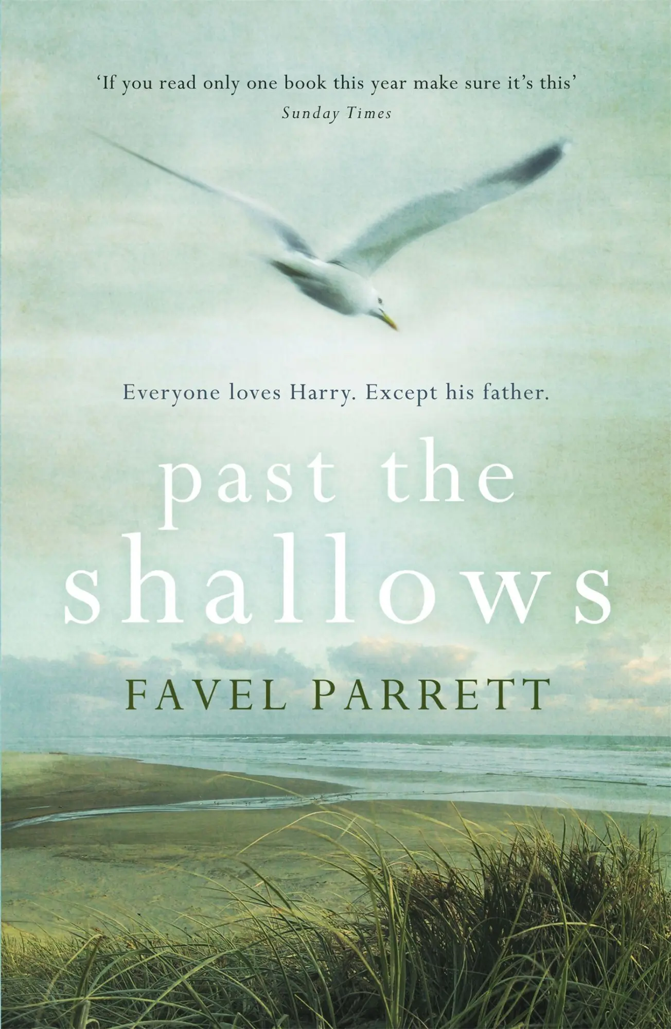 Cover: 9781848547506 | Past the Shallows | Favel Parrett | Taschenbuch | 272 S. | Englisch