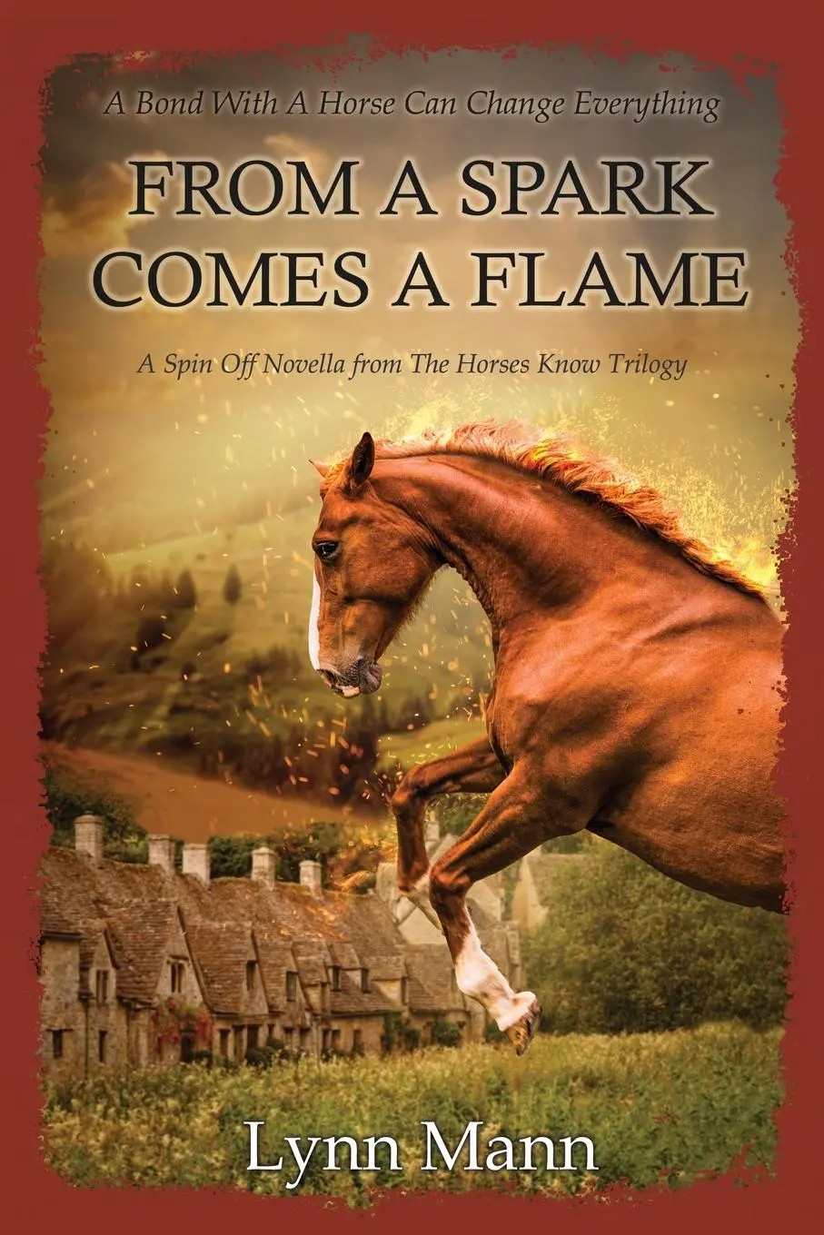 Cover: 9781739327606 | From A Spark Comes A Flame | Lynn Mann | Taschenbuch | Englisch | 2023