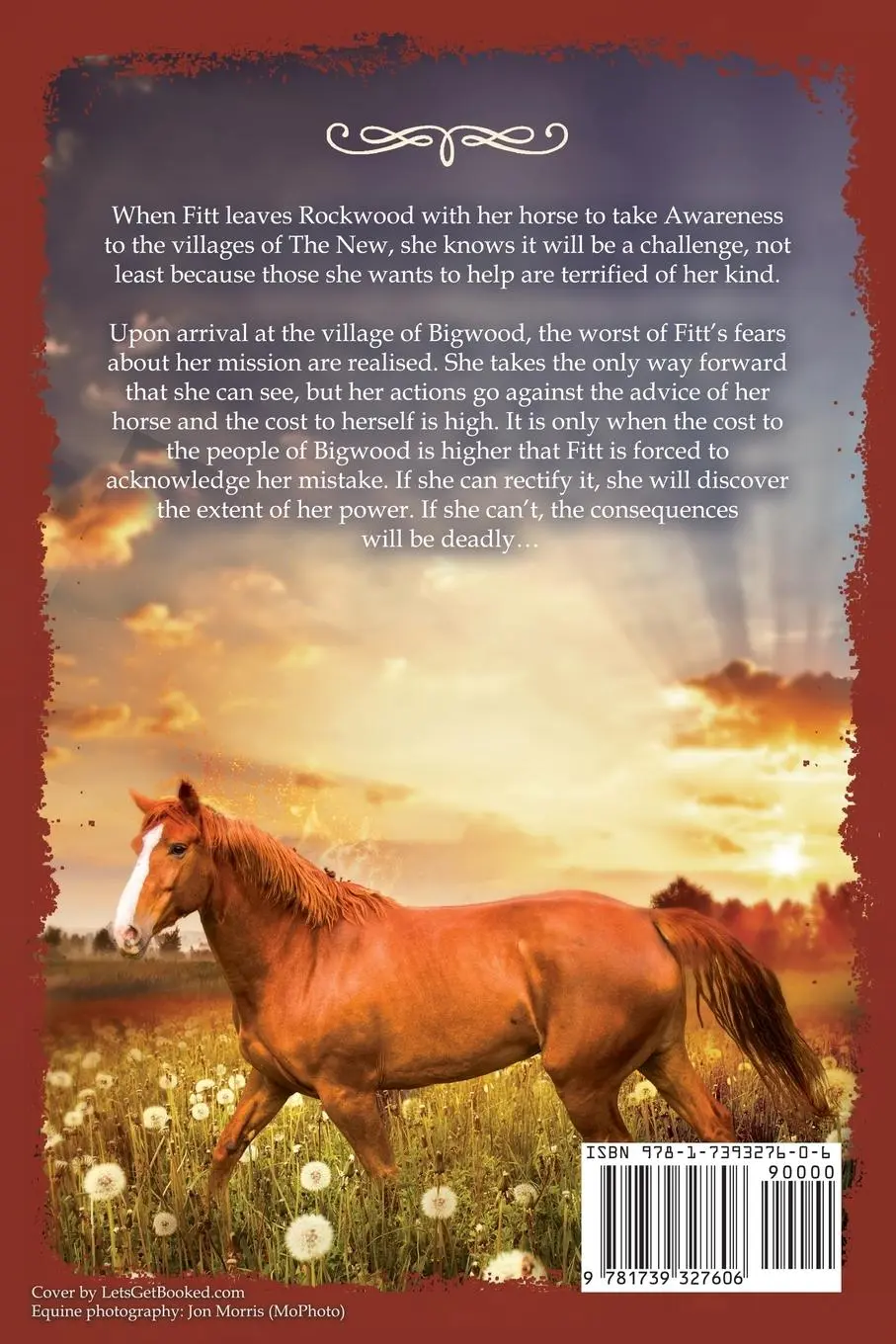 Rückseite: 9781739327606 | From A Spark Comes A Flame | Lynn Mann | Taschenbuch | Englisch | 2023