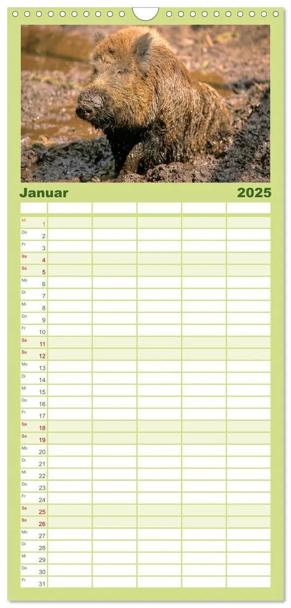 Bild: 9783457117606 | Familienplaner 2025 - Tiere des Waldes mit 5 Spalten (Wandkalender,...