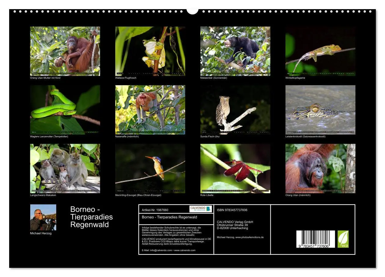 Bild: 9783457737606 | Borneo - Tierparadies Regenwald (hochwertiger Premium Wandkalender...