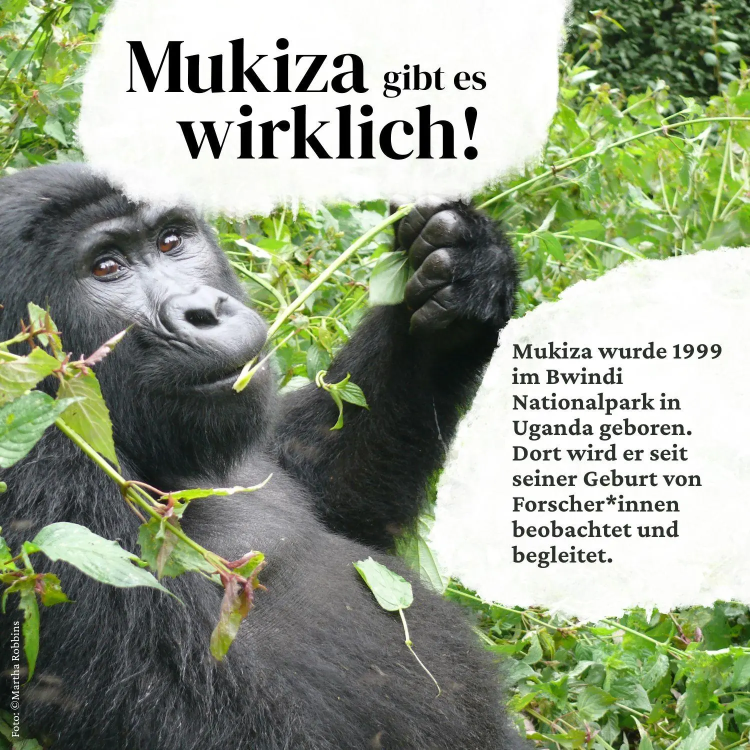 Bild: 9783948877606 | Mukiza | Hannes Jaenicke | Buch | 40 S. | Deutsch | 2024