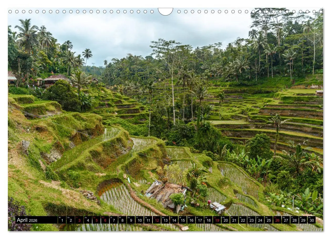 Bild: 9783457717806 | Bali Indonesien (Wandkalender 2026 DIN A3 quer), CALVENDO...