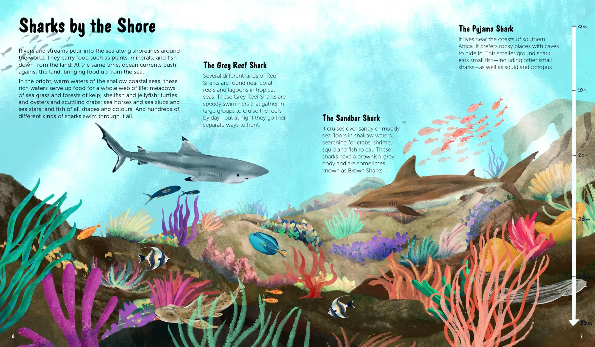 Bild: 9783967047806 | The World of Sharks | Darcy Dobell | Buch | 72 S. | Englisch | 2025
