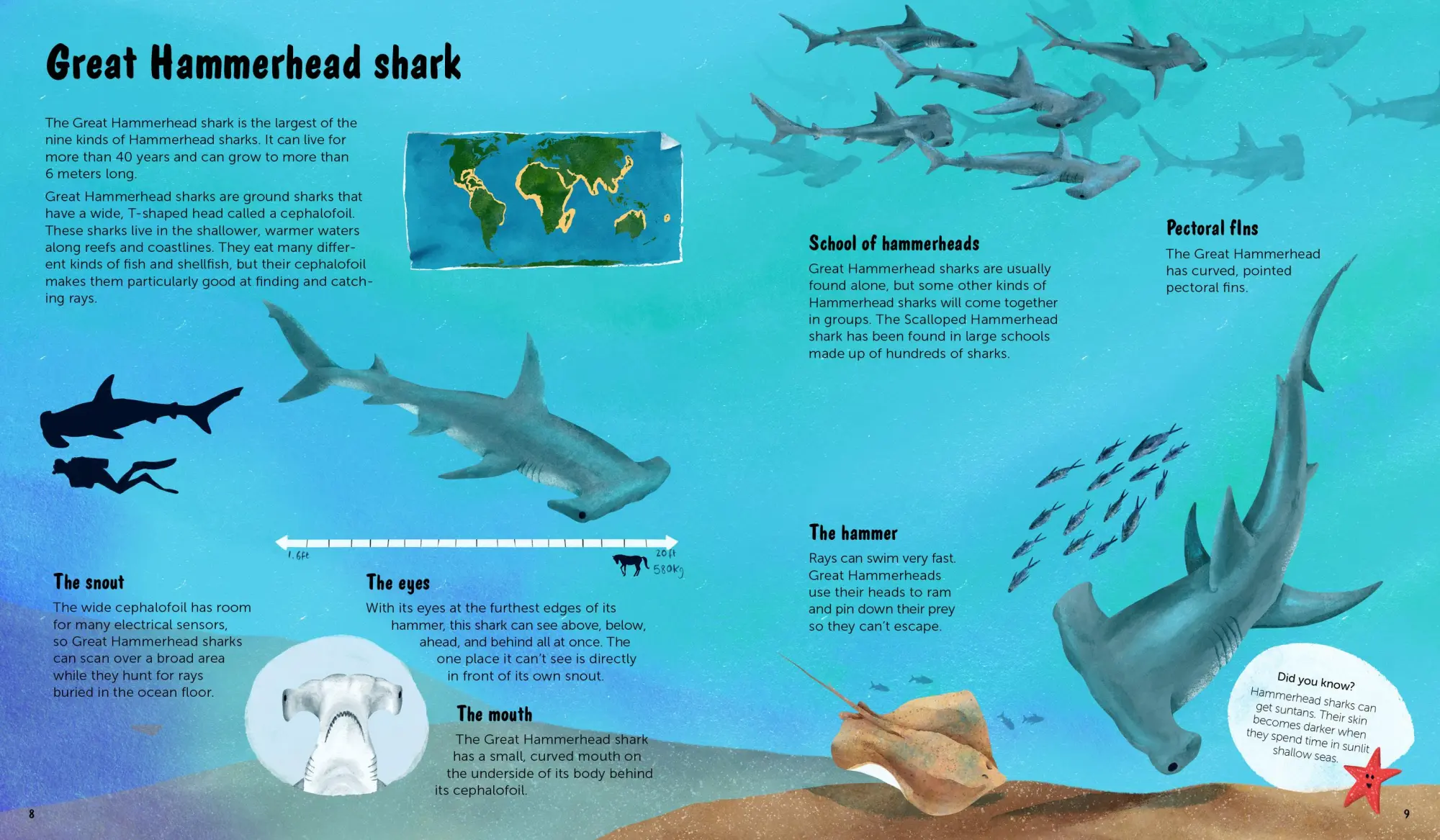 Bild: 9783967047806 | The World of Sharks | Darcy Dobell | Buch | 72 S. | Englisch | 2025