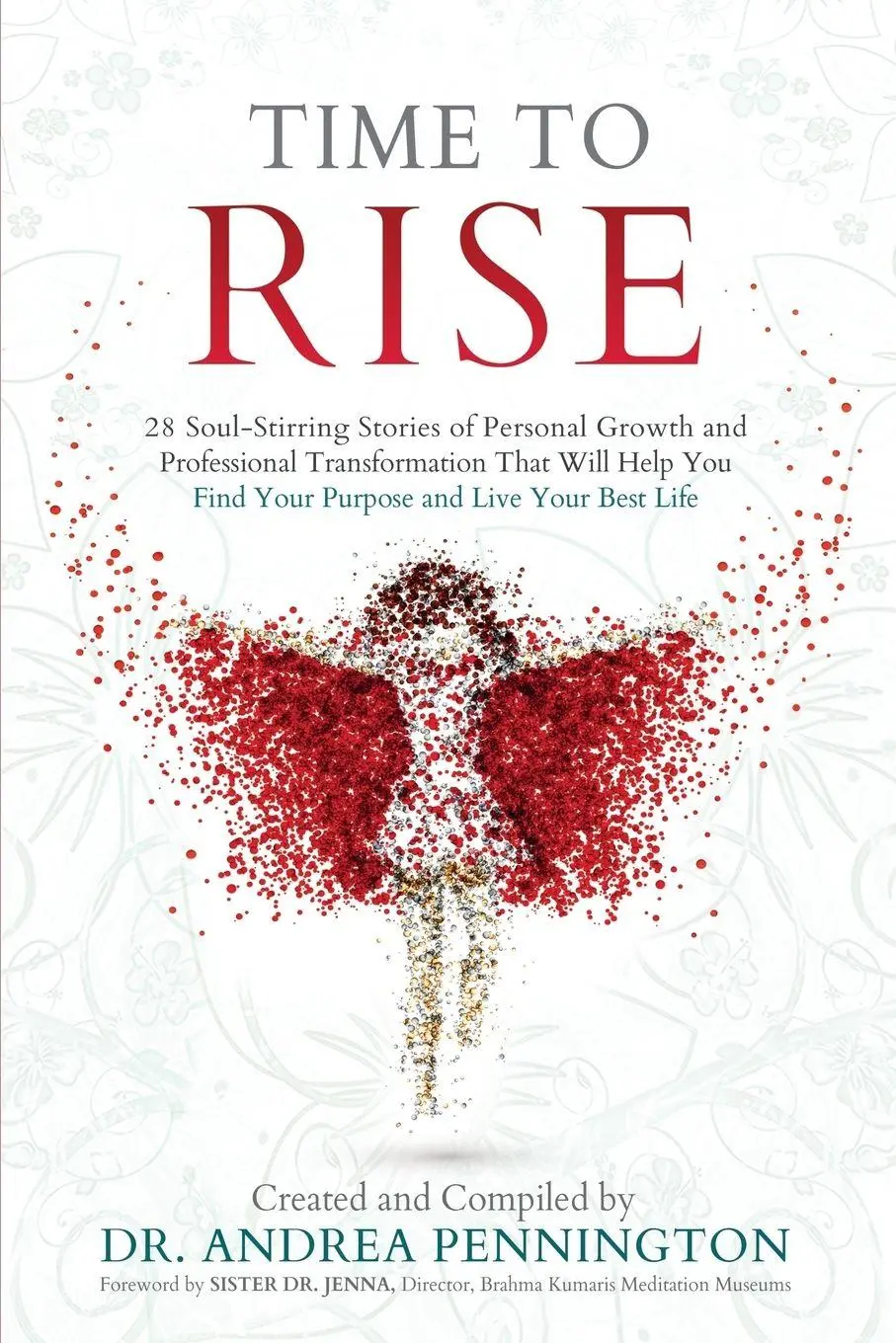 Cover: 9780999257906 | Time to Rise | Julia Aarhus (u. a.) | Taschenbuch | Englisch | 2017