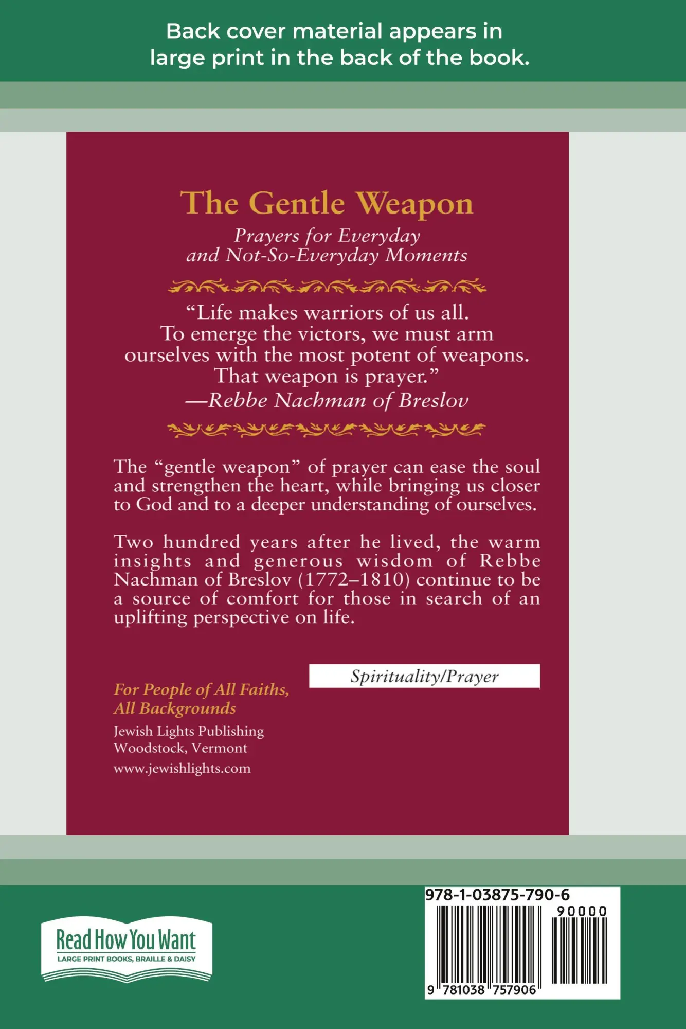 Rückseite: 9781038757906 | The Gentle Weapon | Moshe Mykoff (u. a.) | Taschenbuch | Englisch