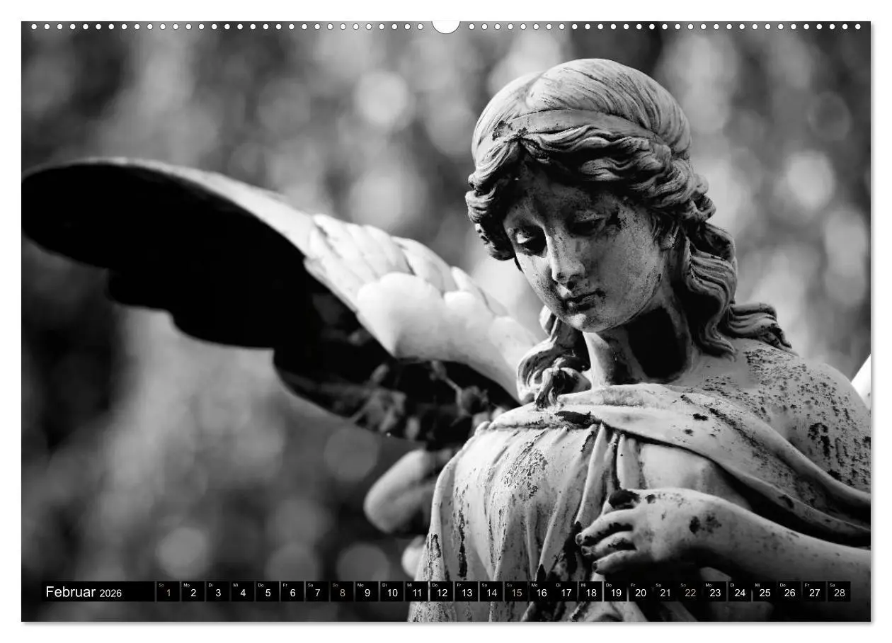Bild: 9783516037906 | Engel-Träume (Wandkalender 2026 DIN A2 quer), CALVENDO Monatskalender