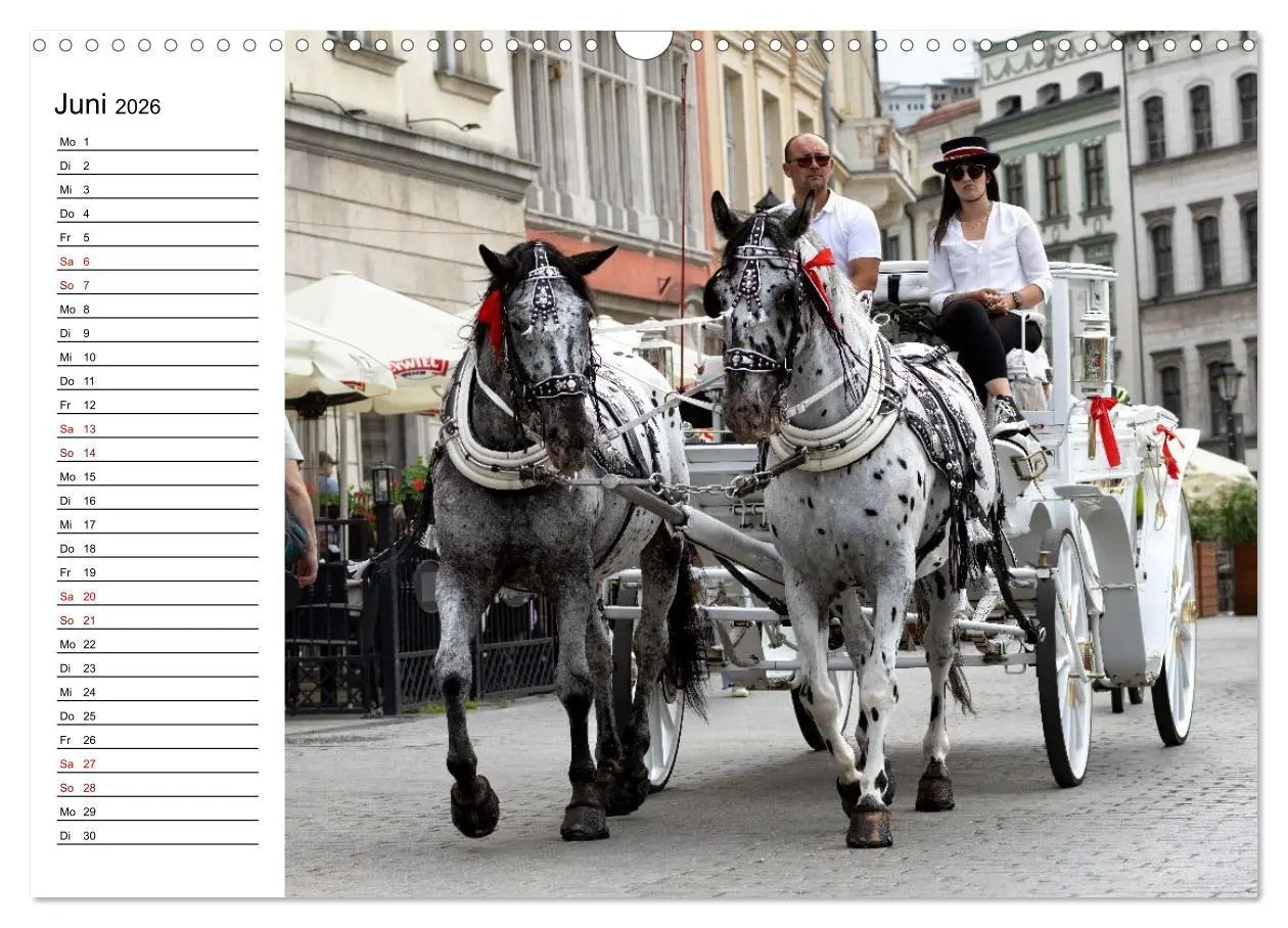 Bild: 9783516657906 | Besucht doch mal Krakau (Wandkalender 2026 DIN A3 quer), CALVENDO...