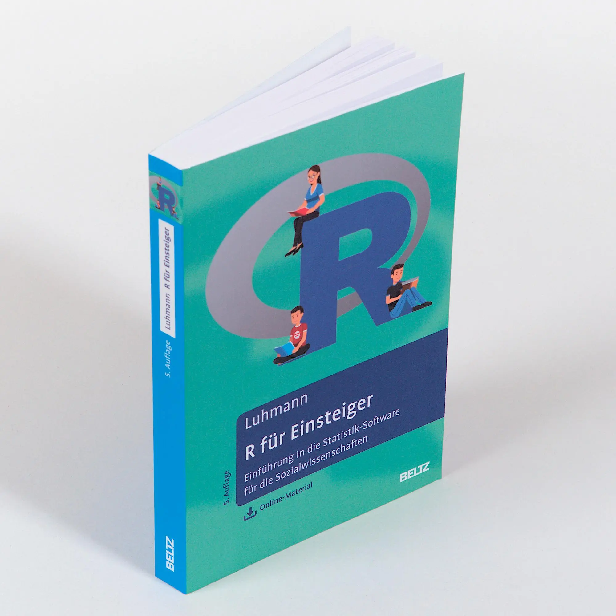 Bild: 9783621287906 | R für Einsteiger | Maike Luhmann | Taschenbuch | 381 S. | Deutsch