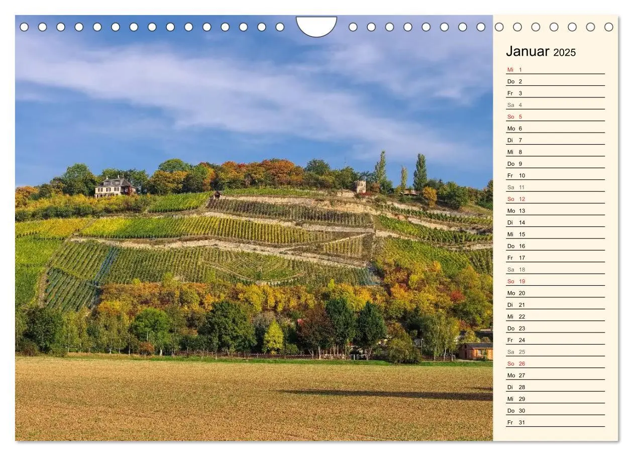 Bild: 9783435508006 | Saale-Unstrut - Region aus Wein und Stein (Wandkalender 2025 DIN A4...