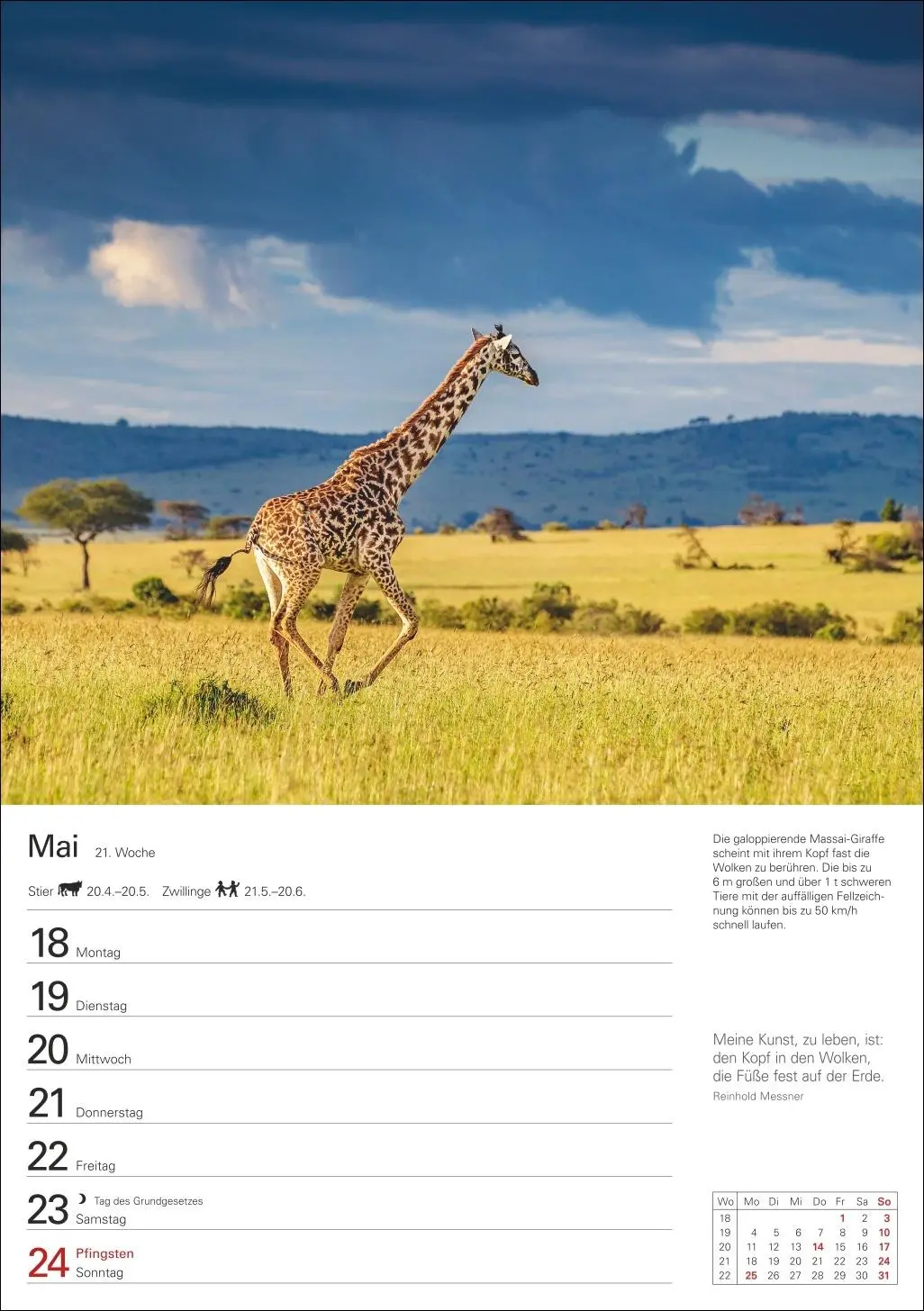 Bild: 9783840038006 | Naturschätze Afrikas Wochenplaner 2026 - Eine Reise in 53 Bildern