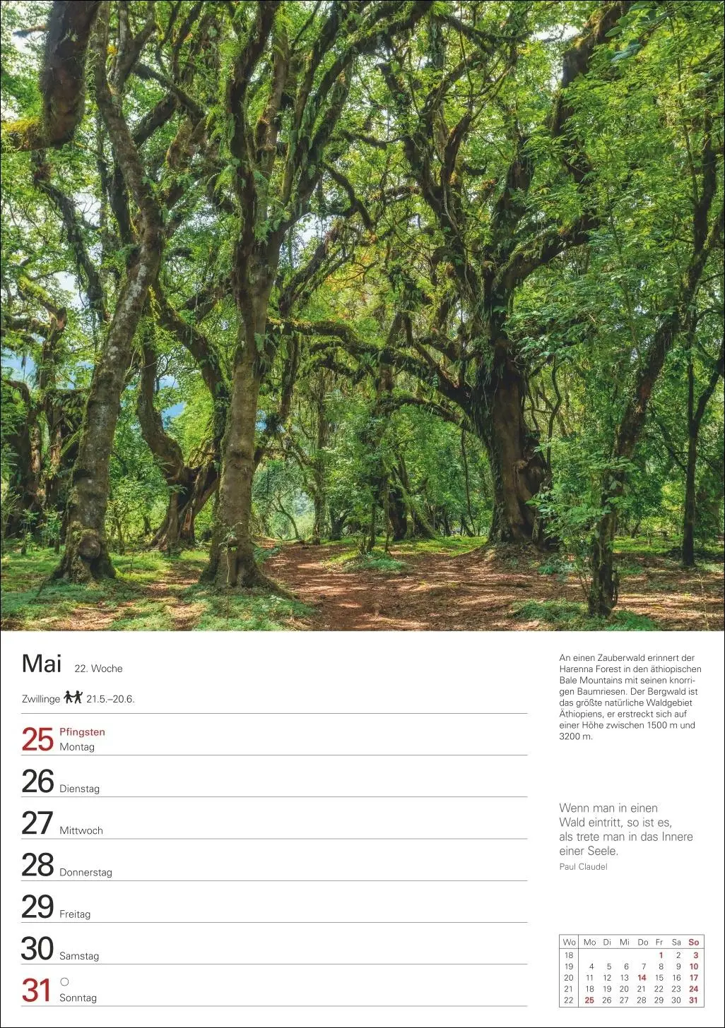 Bild: 9783840038006 | Naturschätze Afrikas Wochenplaner 2026 - Eine Reise in 53 Bildern