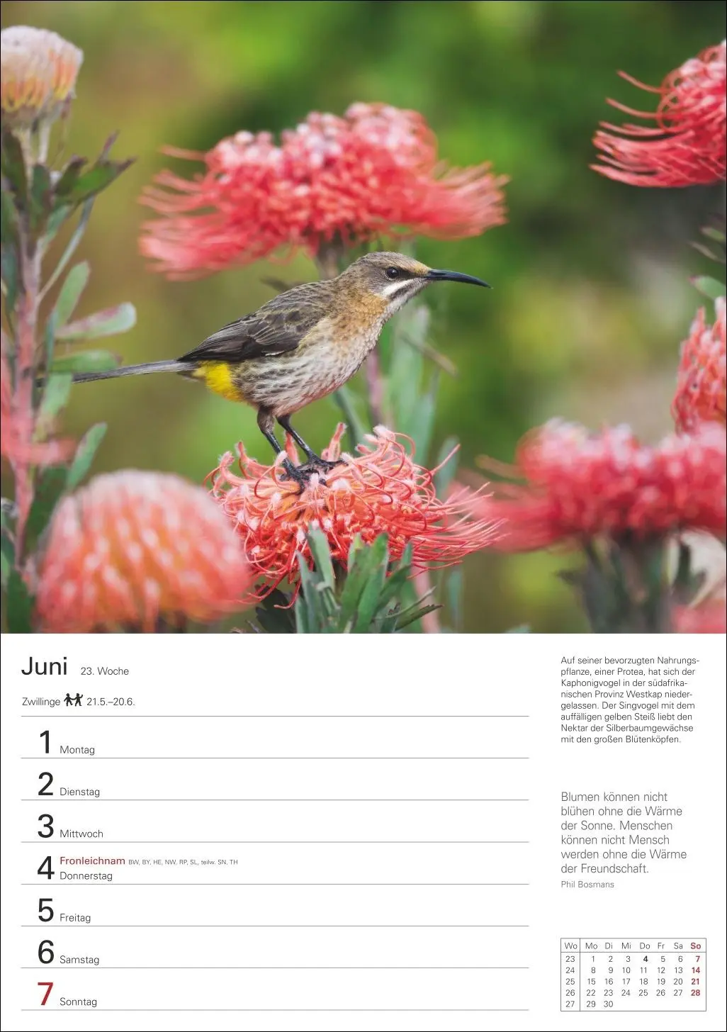 Bild: 9783840038006 | Naturschätze Afrikas Wochenplaner 2026 - Eine Reise in 53 Bildern