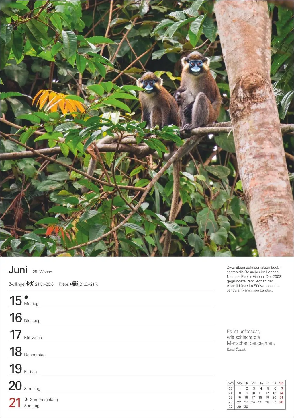 Bild: 9783840038006 | Naturschätze Afrikas Wochenplaner 2026 - Eine Reise in 53 Bildern