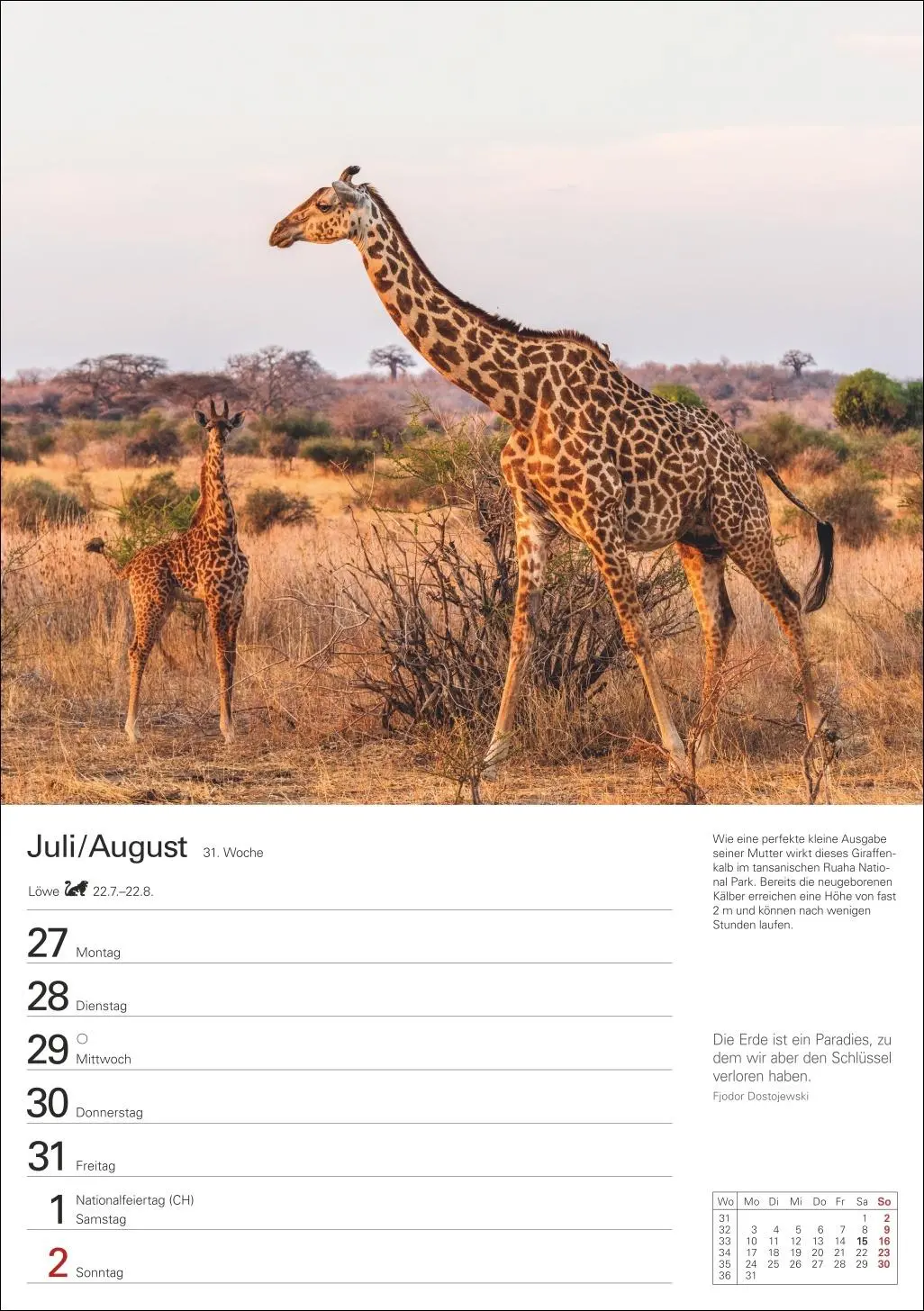 Bild: 9783840038006 | Naturschätze Afrikas Wochenplaner 2026 - Eine Reise in 53 Bildern