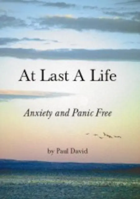Cover: 9780956948106 | At Last a Life | Paul David | Taschenbuch | Kartoniert / Broschiert