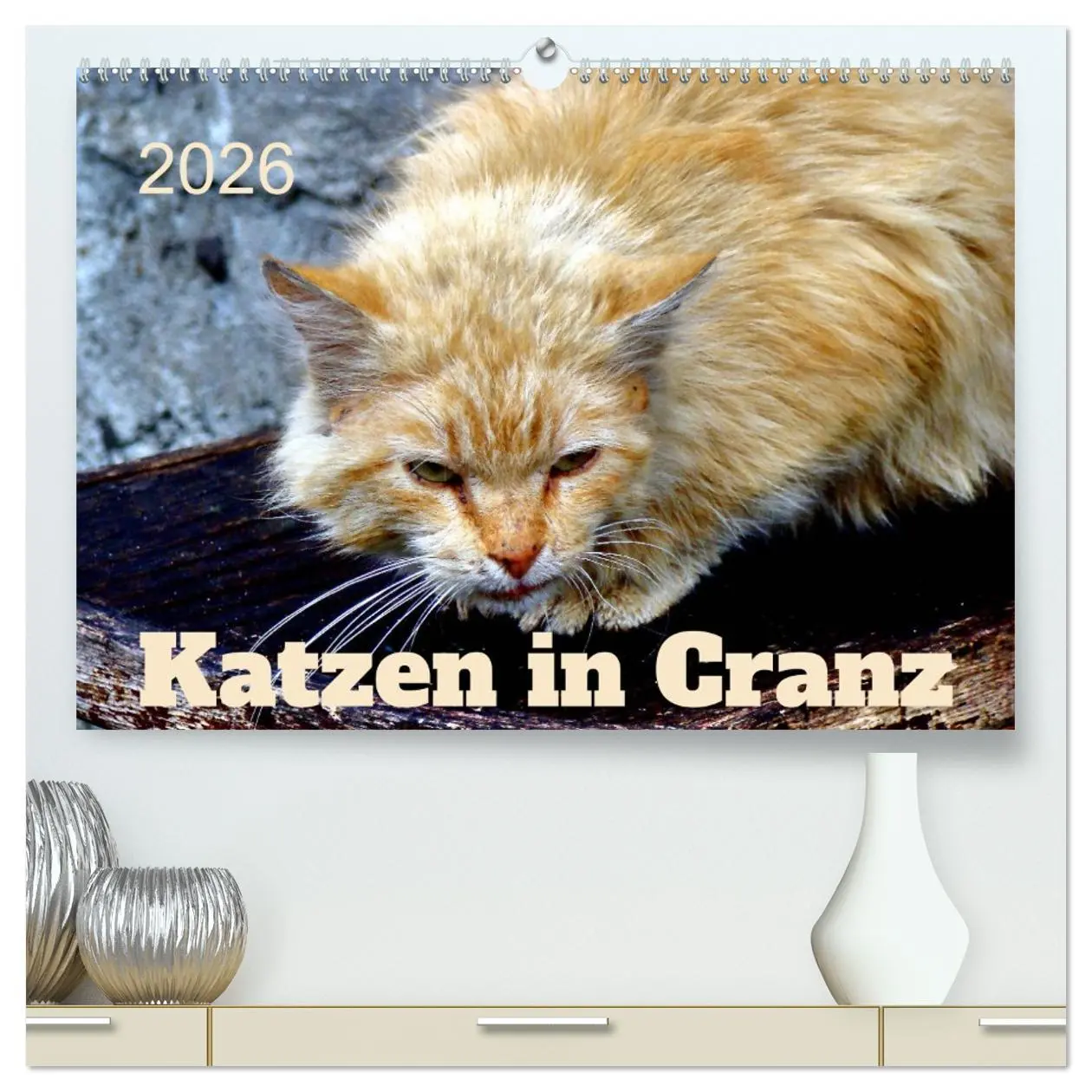 Cover: 9783457448106 | Katzen in Cranz (hochwertiger Premium Wandkalender 2026 DIN A2...