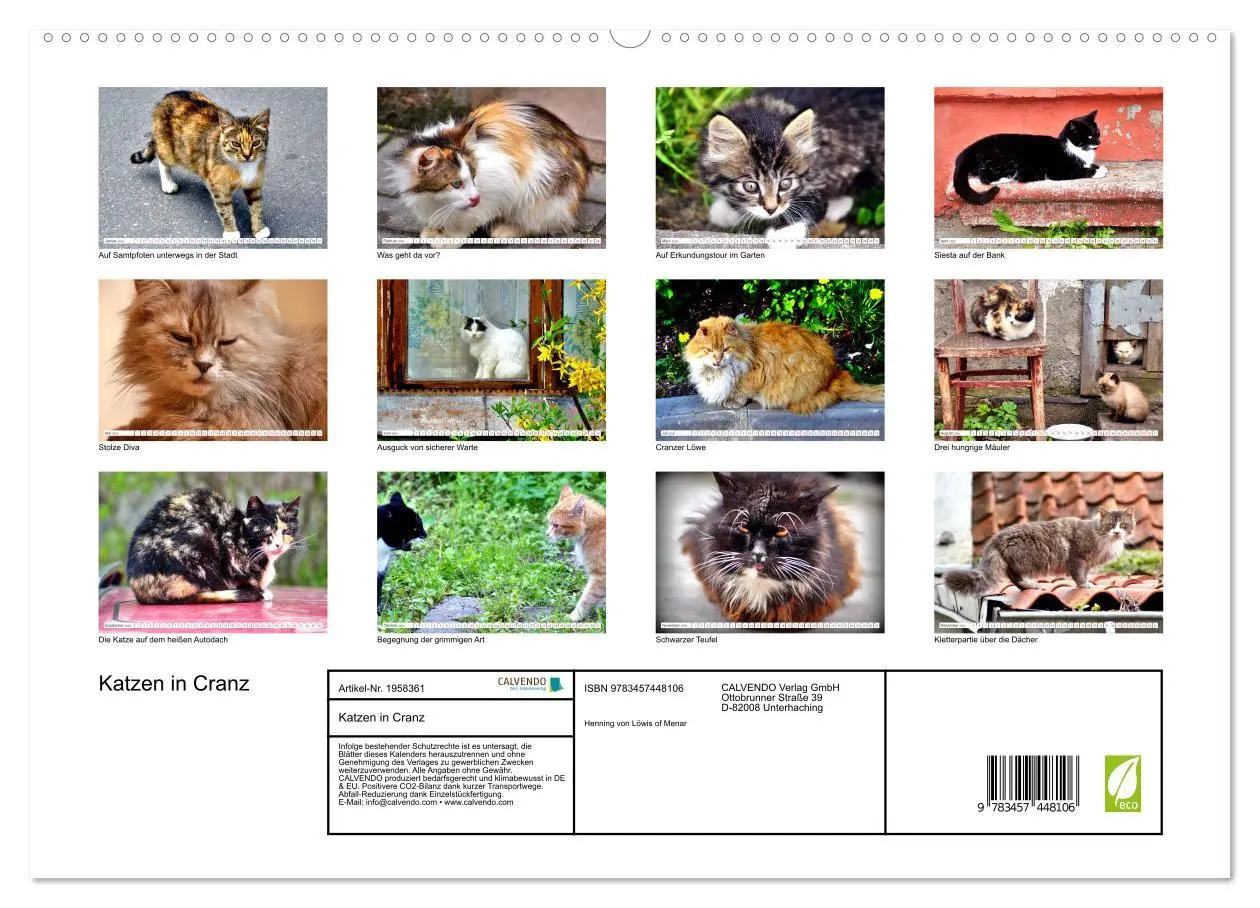 Bild: 9783457448106 | Katzen in Cranz (hochwertiger Premium Wandkalender 2026 DIN A2...