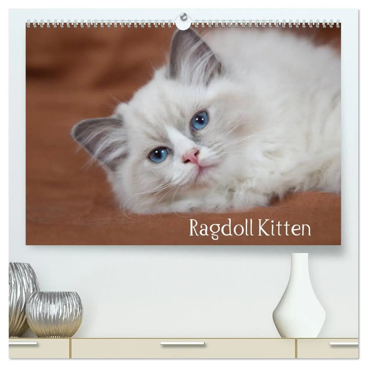 Cover: 9783516158106 | Ragdoll Kitten (hochwertiger Premium Wandkalender 2026 DIN A2...