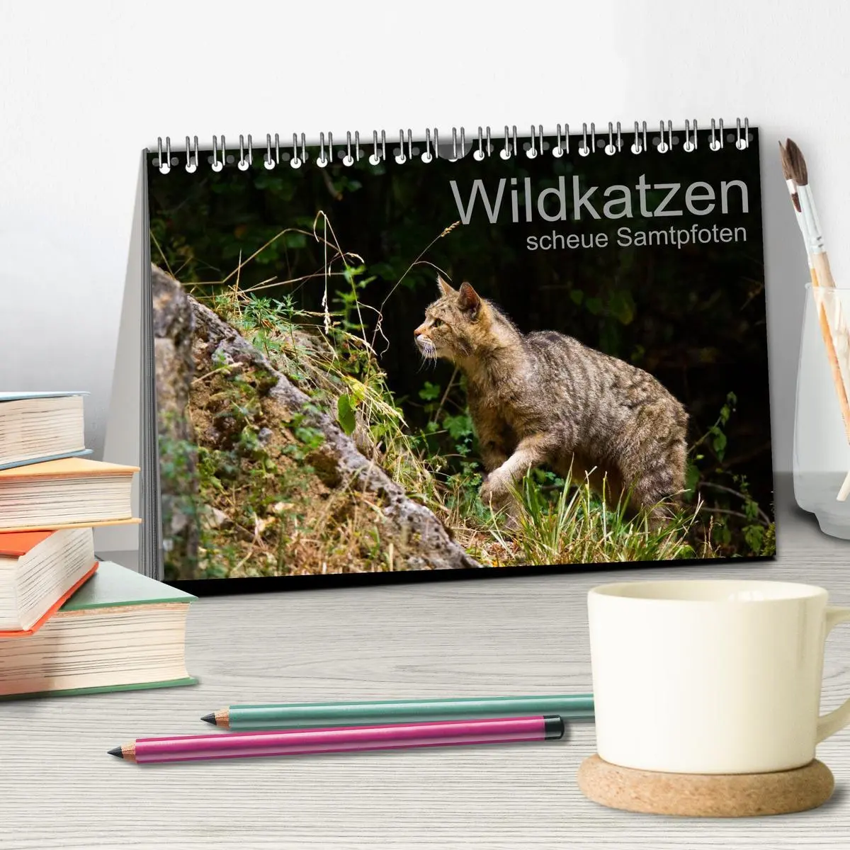 Bild: 9783457748206 | Wildkatzen - scheue Samtpfoten (Tischkalender 2026 DIN A5 quer),...