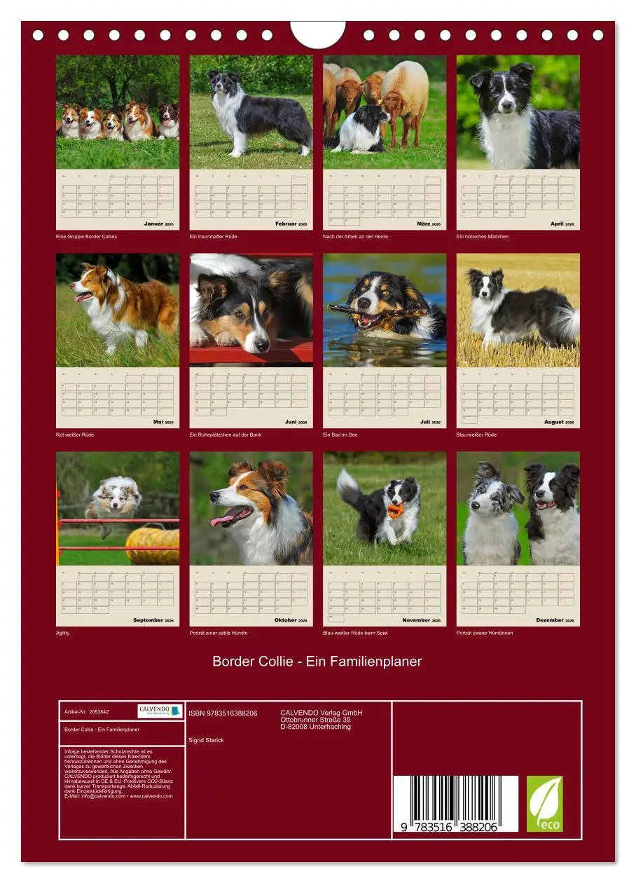 Bild: 9783516388206 | Border Collie - Ein Familienplaner (Wandkalender 2026 DIN A4 hoch),...