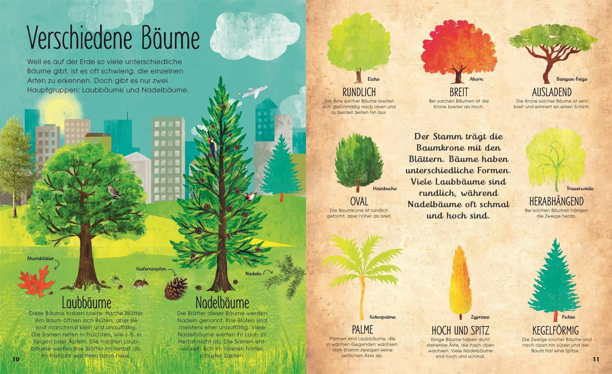 Bild: 9783831038206 | Bäume | Entdecke die verborgene Welt des Waldes | Jen Green | Buch