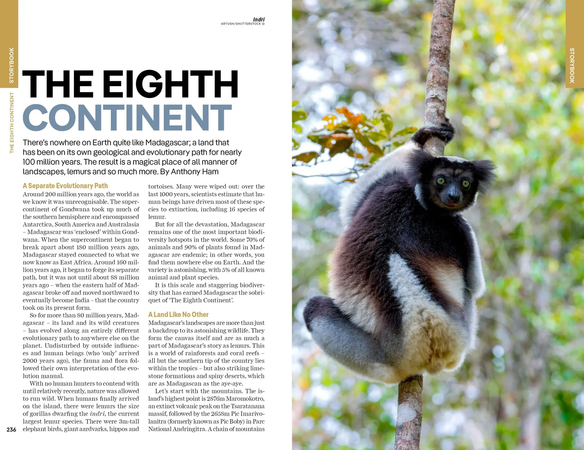 Bild: 9781788688406 | Lonely Planet Madagascar | Andrianarisoa | Taschenbuch | 264 S. | 2023