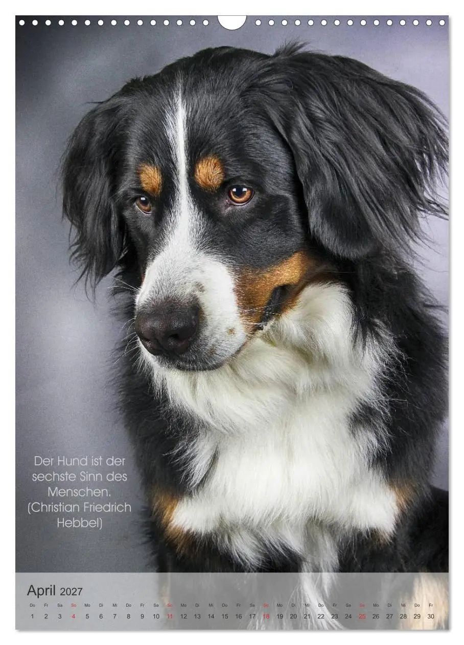 Bild: 9783594038406 | Hundezitate 2027 (Wandkalender 2027 DIN A3 hoch), CALVENDO...